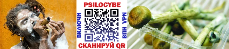 маркетплейс Telegram  Зея  Галлюциногенные грибы MAGIC MUSHROOMS 